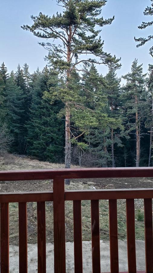Semiramida Gardens Apartments Borovets Buitenkant foto